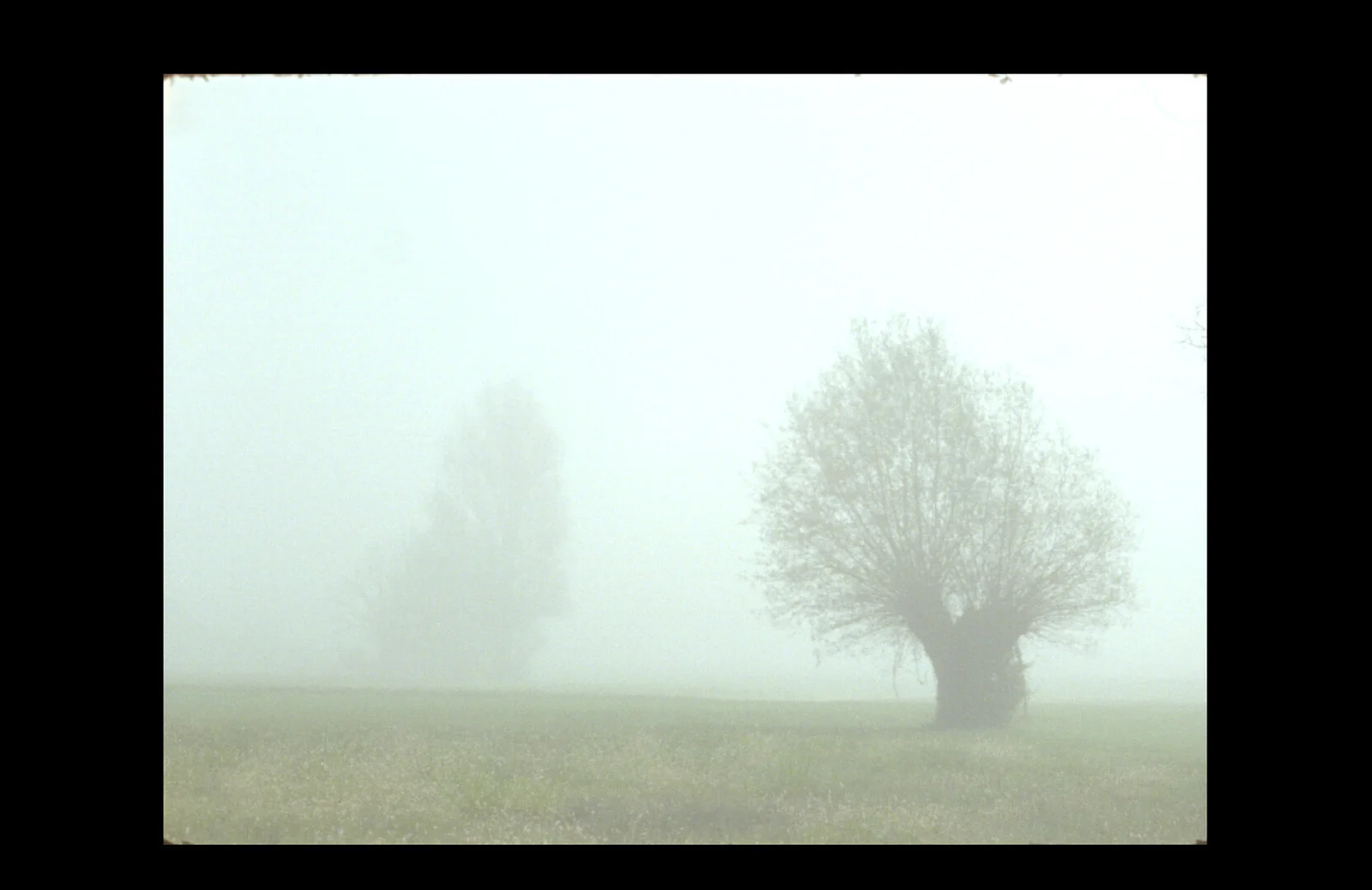 The Same Sweat is Still Flowing Through the Same Pores