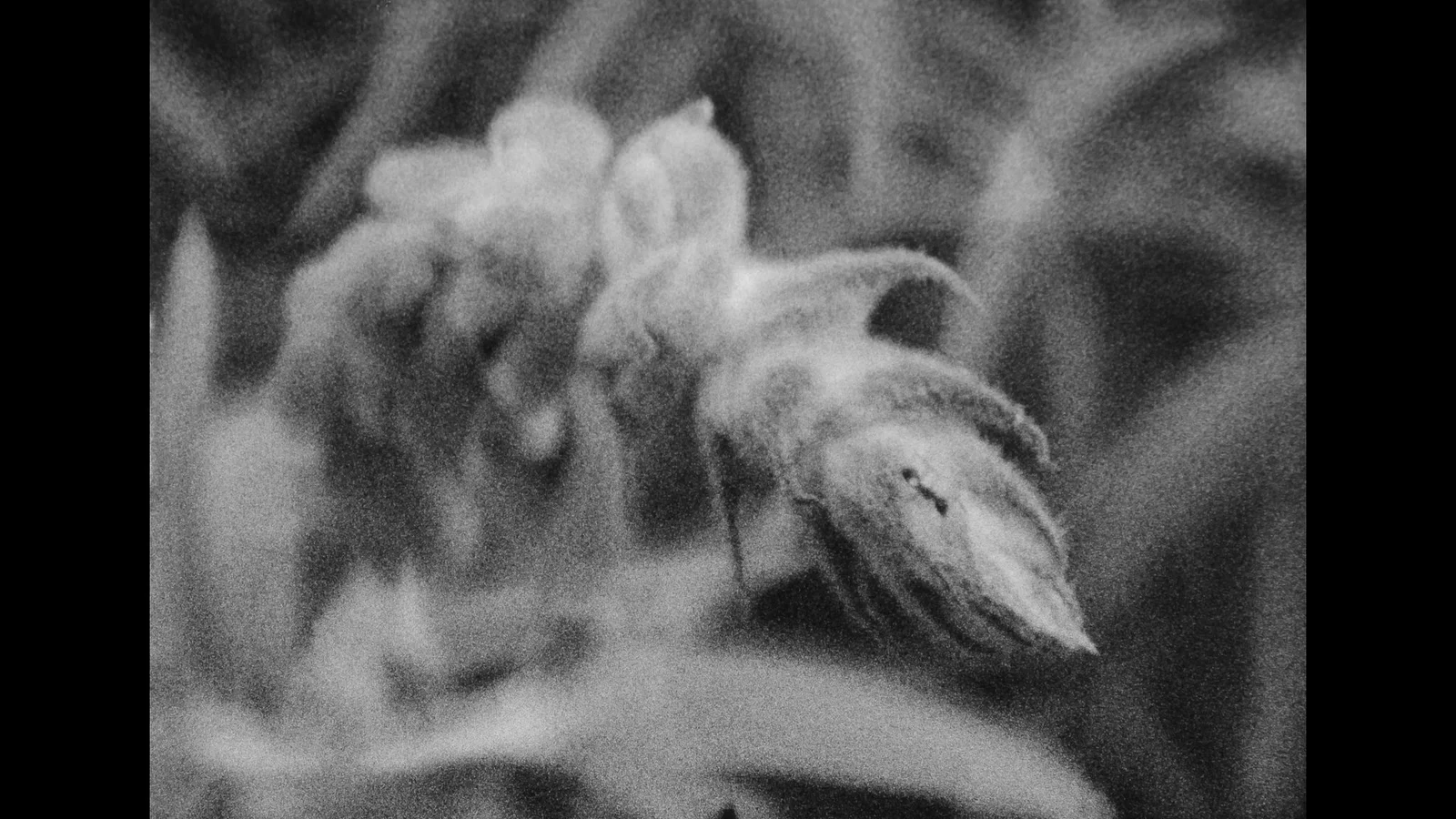 The Root of Lightweight