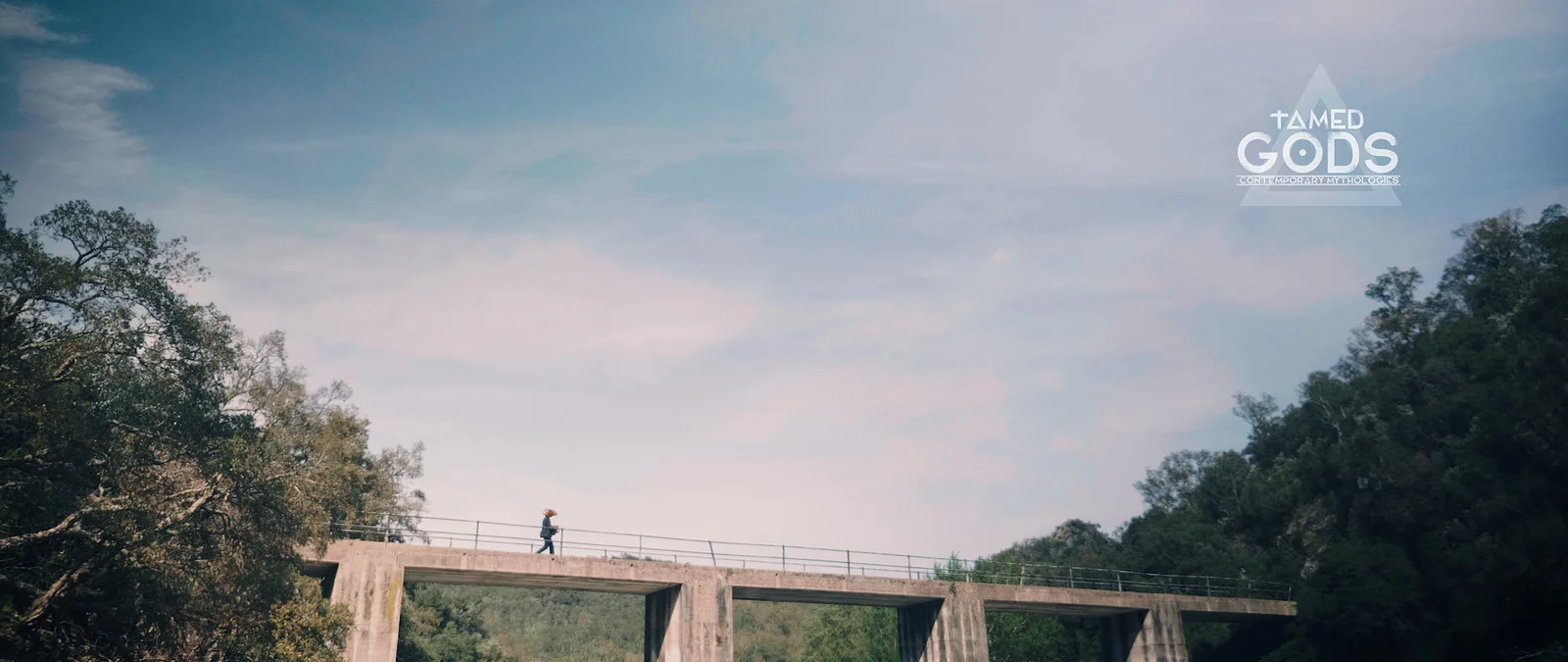 Tamed Gods: The Origins of Abundance