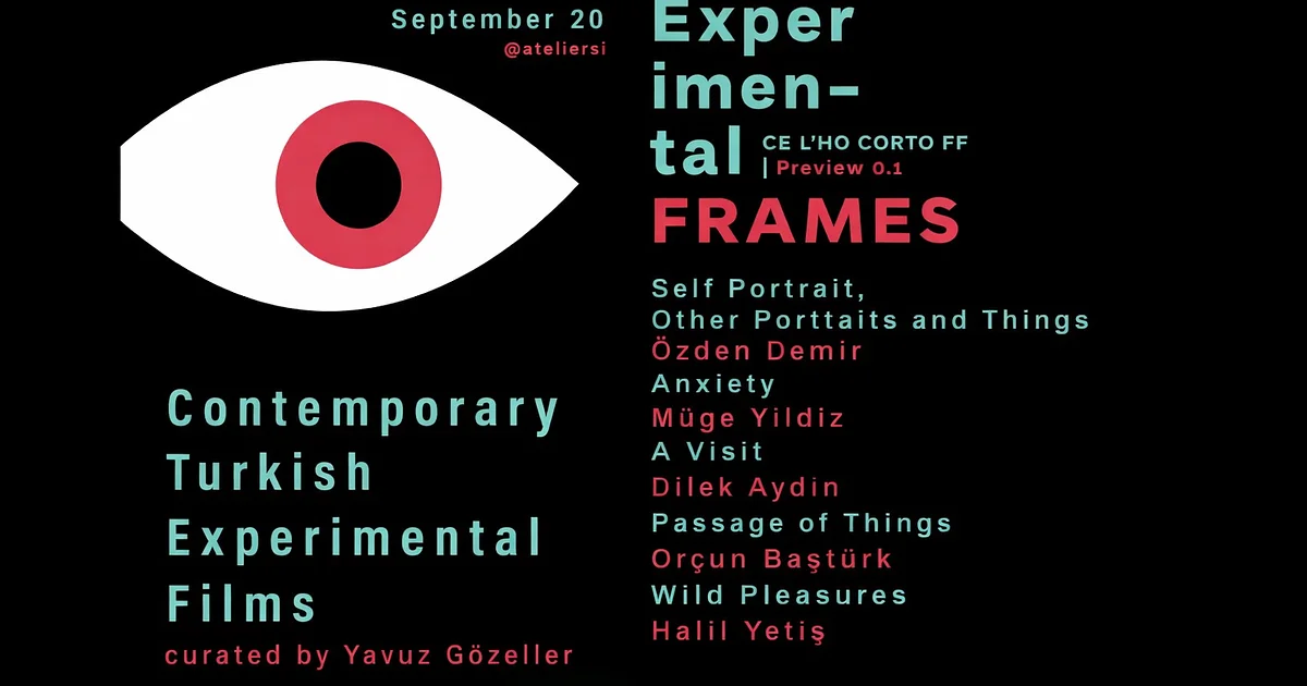 Experimental Frames