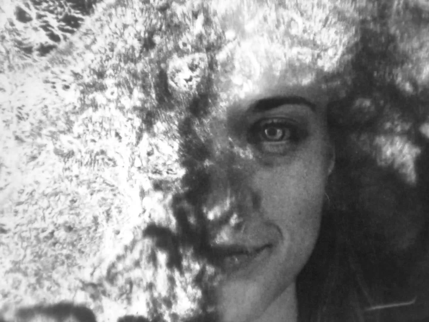 Agnōscis (lat. you recognize)