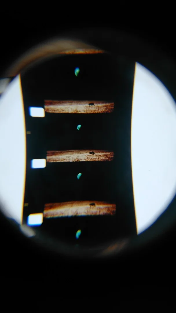 Darkness, Darkness, Burning Bright