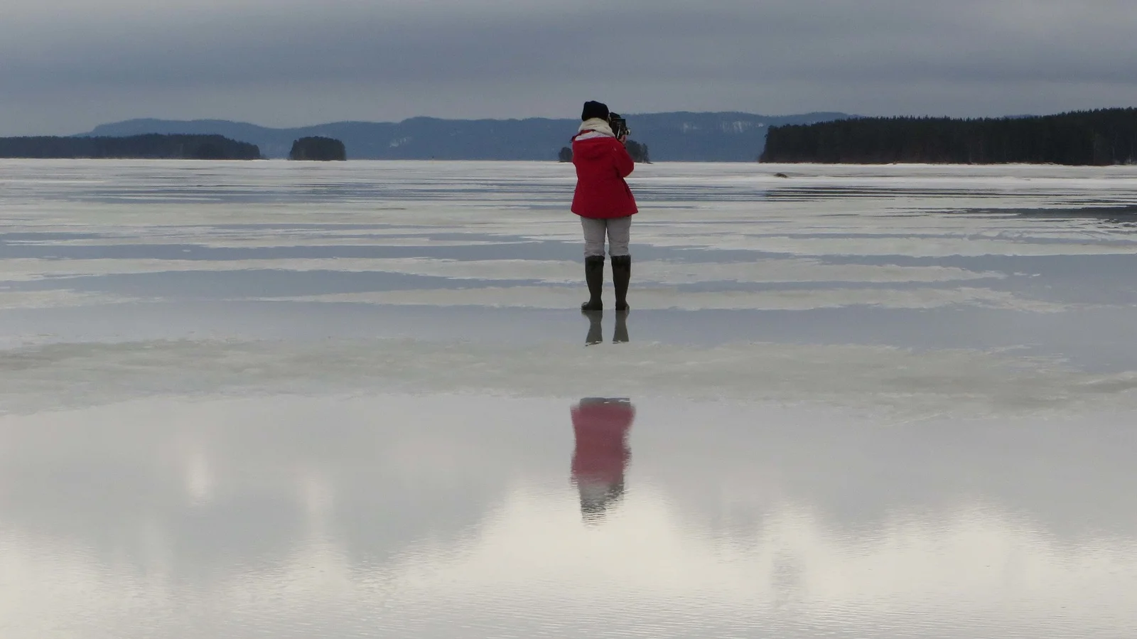 WINTERREISE'S VARIATIONS