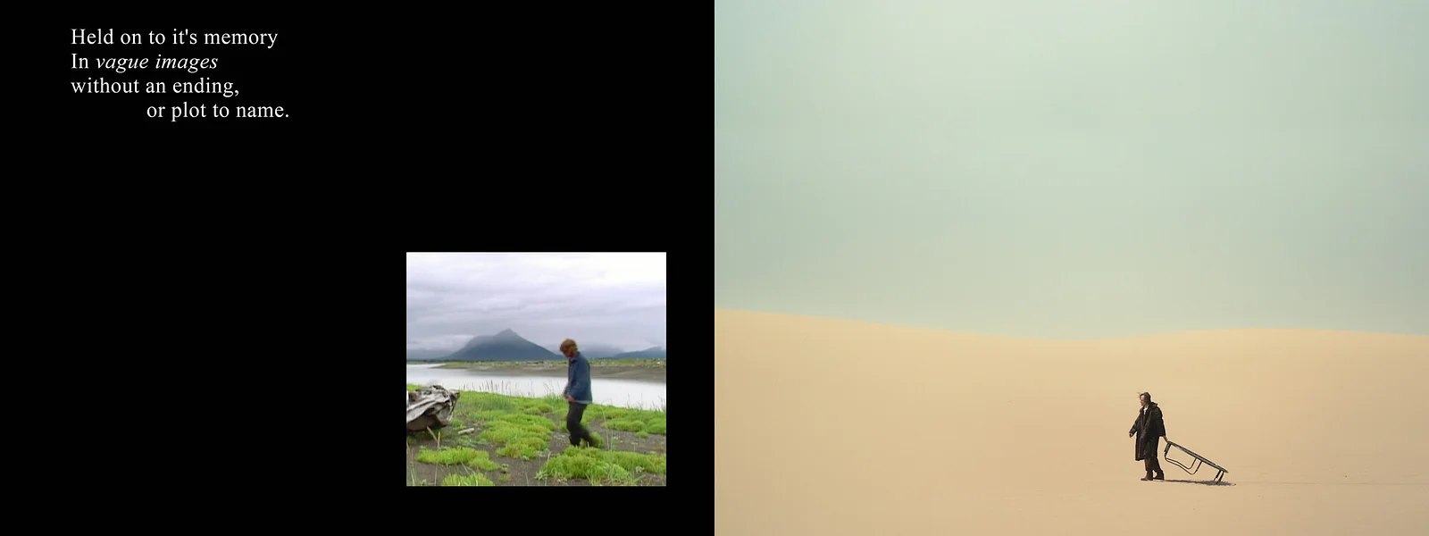 Searching For a Forest