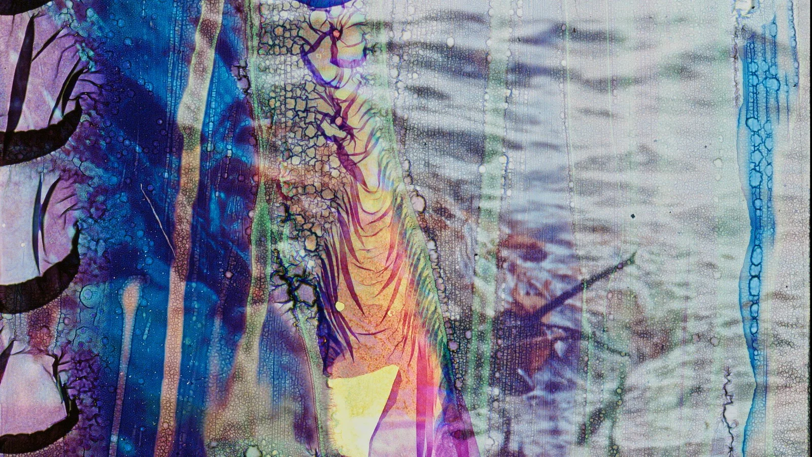 The Dissolution of the Landscape