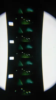 Darkness, Darkness, Burning Bright