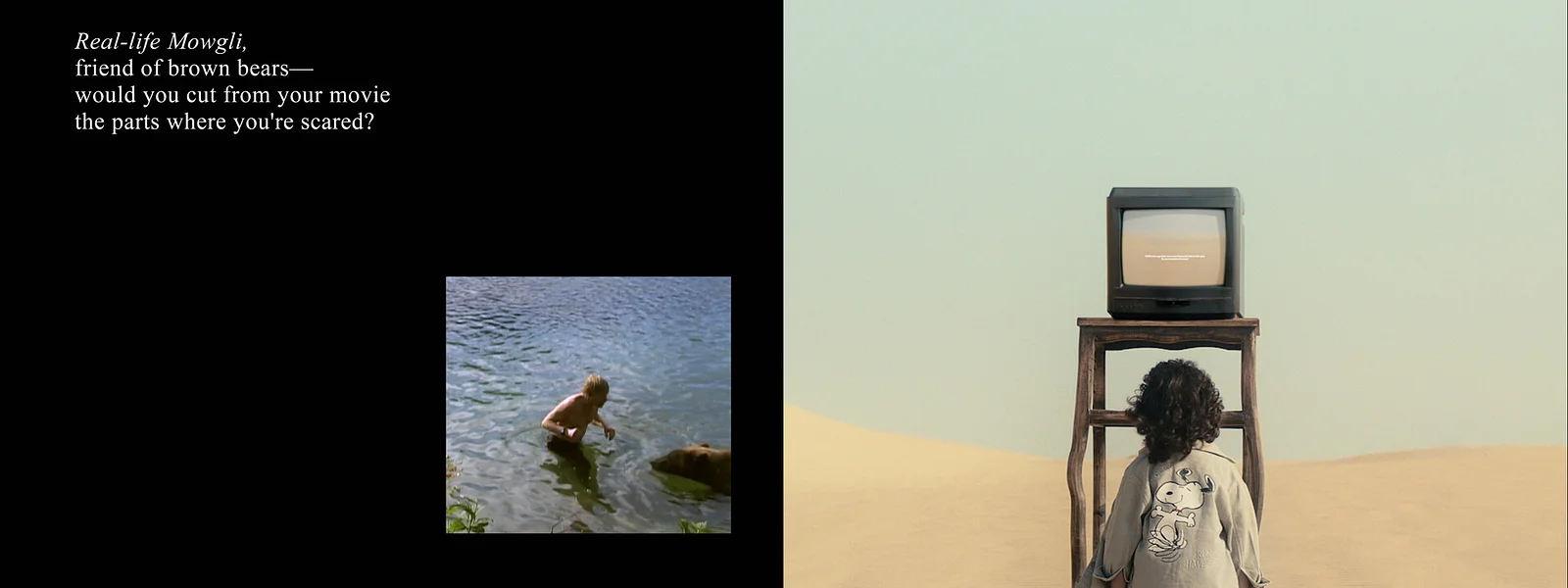 Searching For a Forest