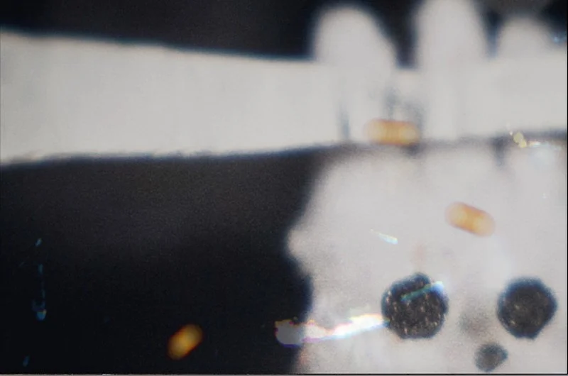 Queenie and the All or Nothing Thin King