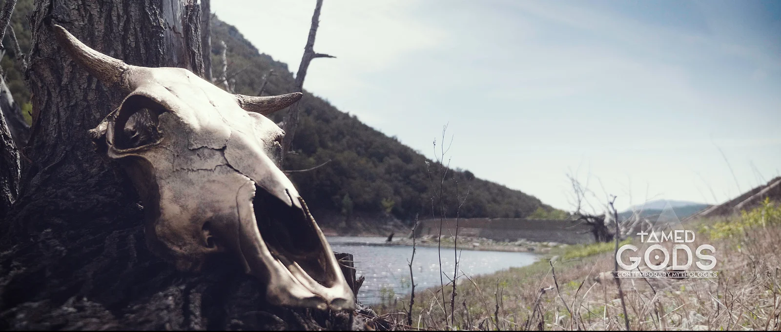 Tamed Gods: The Origins of Abundance