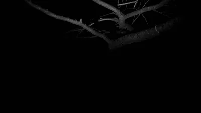 What remains, by Enzo Cillo/ Maria Lindström