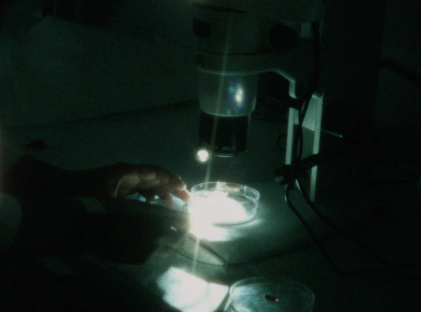 Does the Sea Have a Heart?