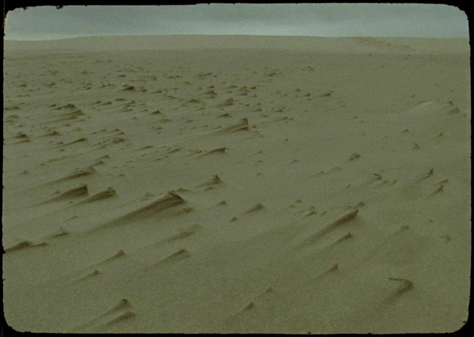 The Land of the Raven from the Ark