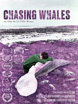 Chasing Whales
