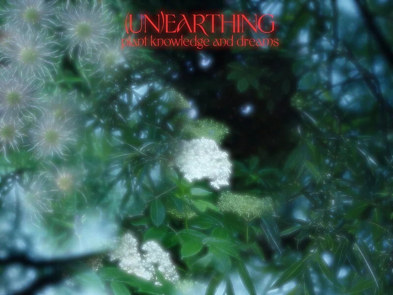 (Un)earthing - plant knowledge and dreams 