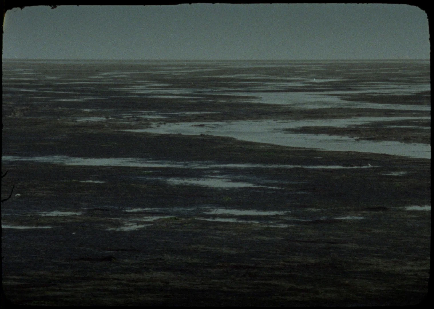 The Land of the Raven from the Ark