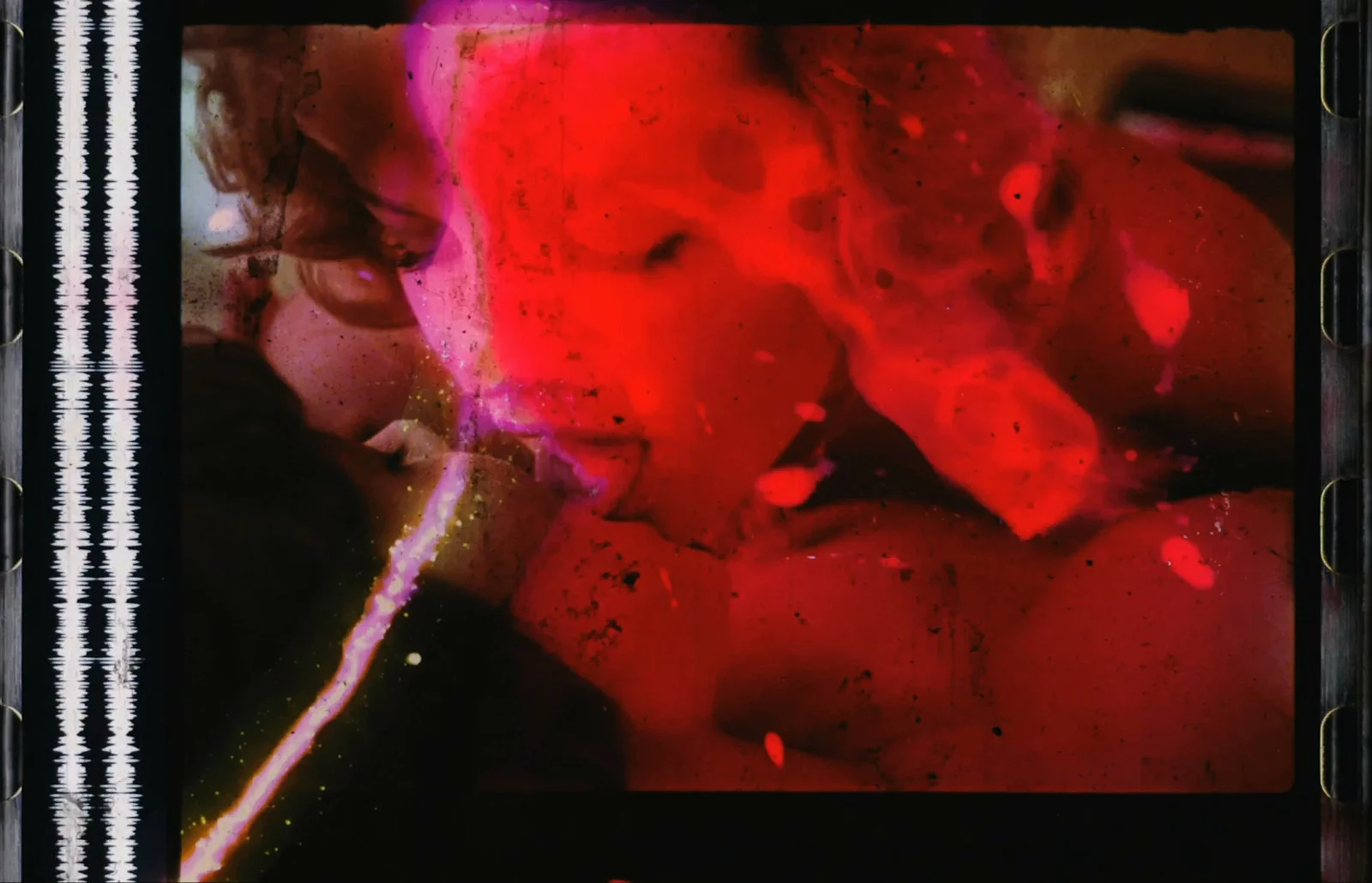 the Garden of Delight