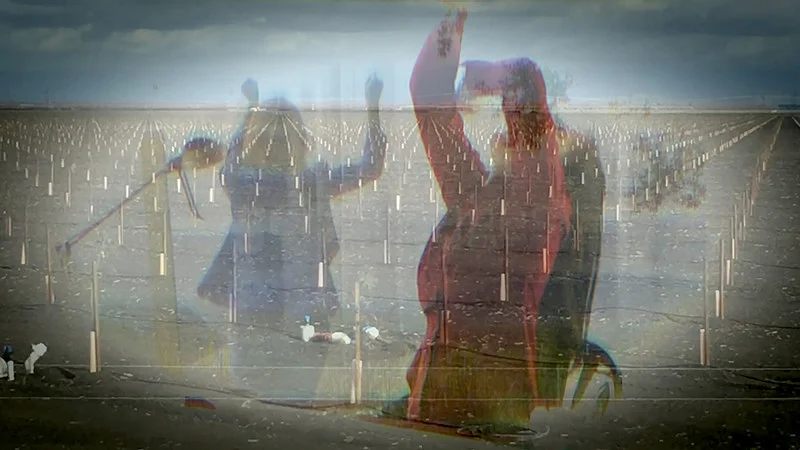 Onward Lossless Follows