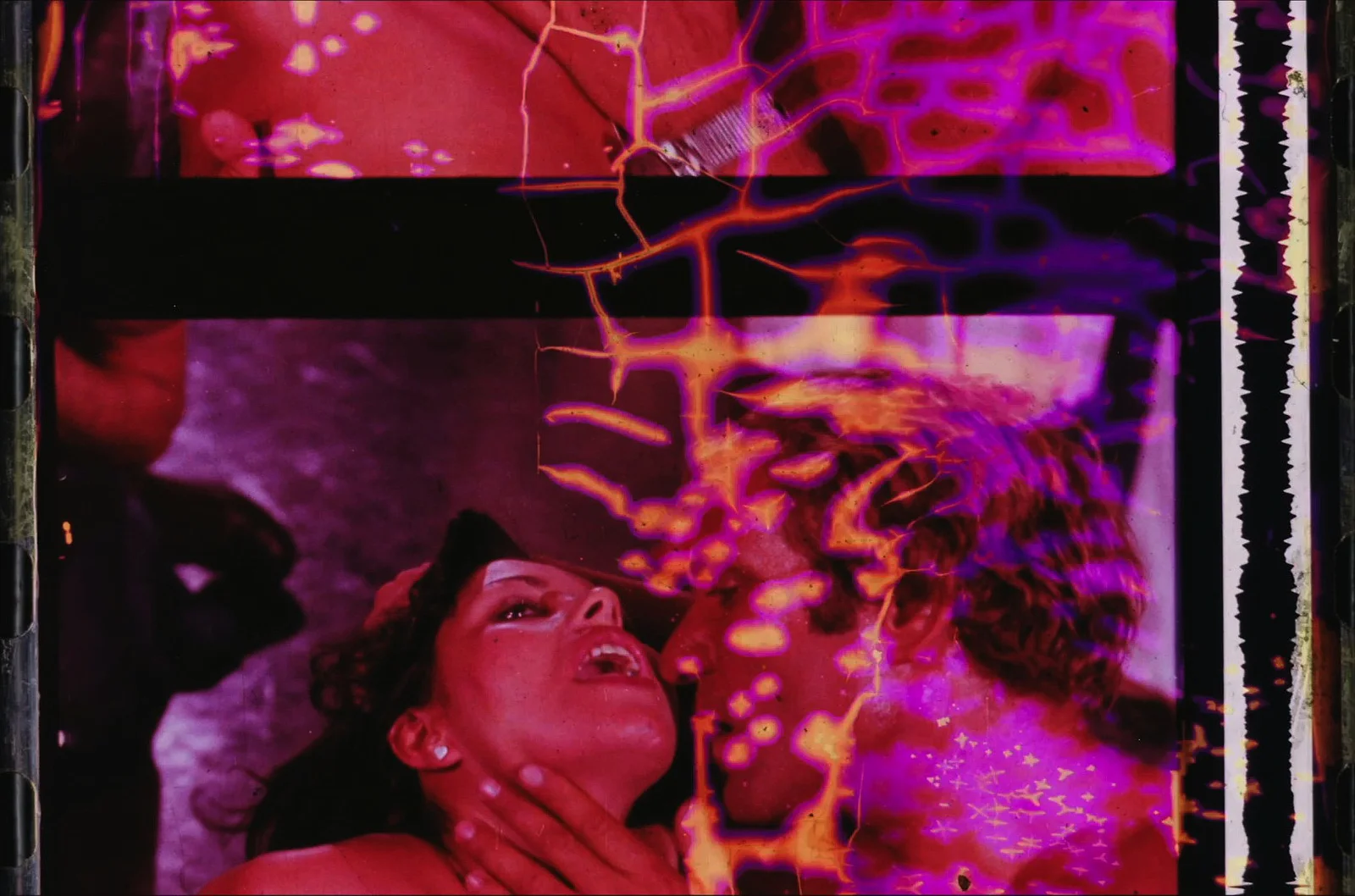 the Garden of Delight