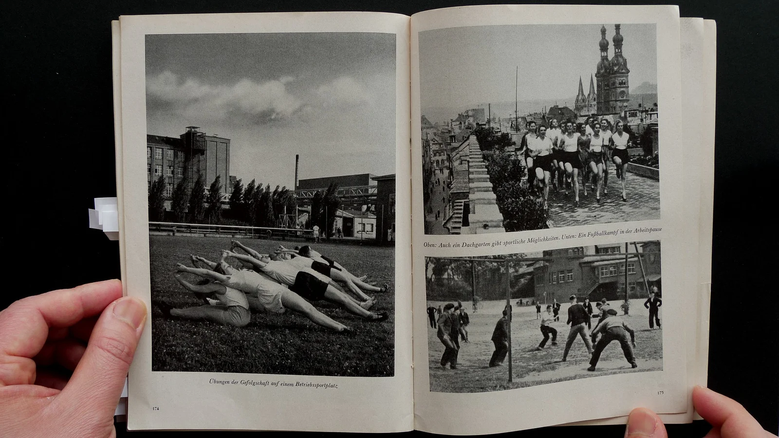 The Efficiency Exhibition