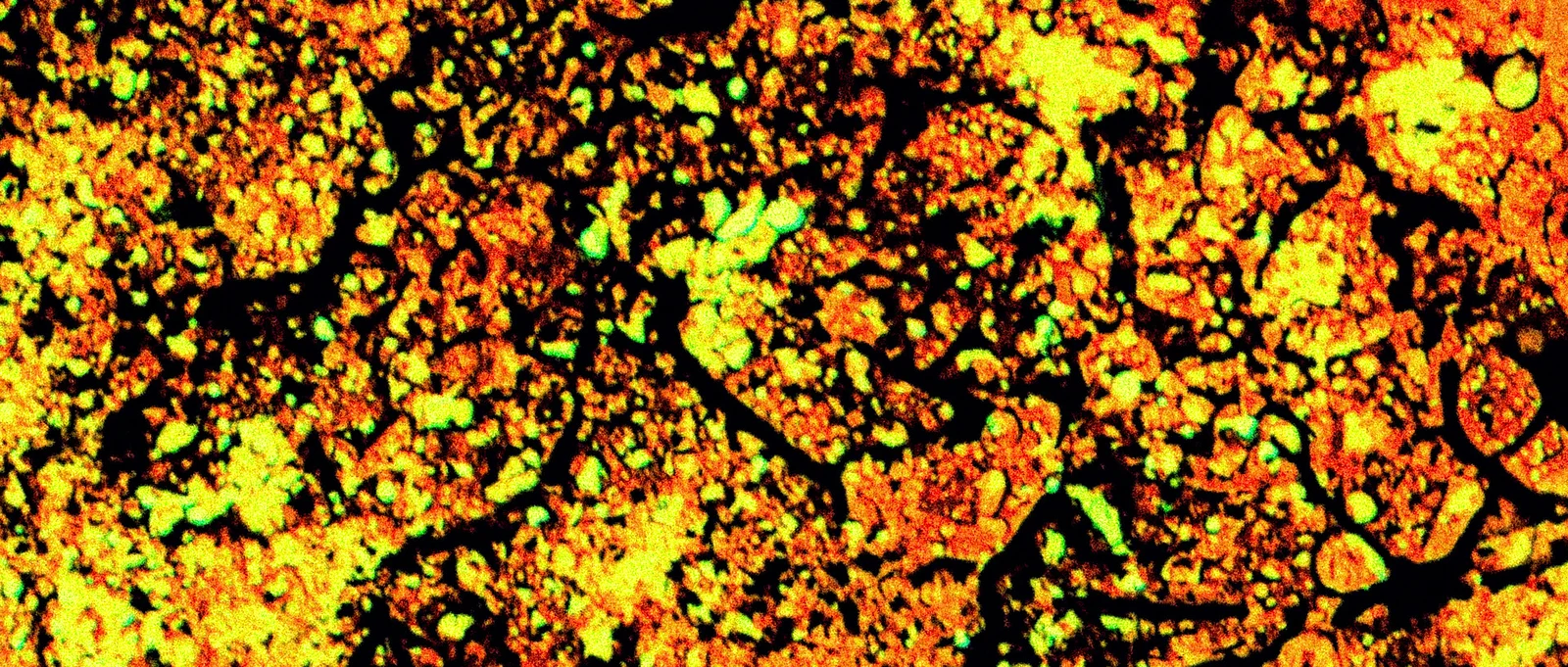 Embers from Yesterday, Aflame.