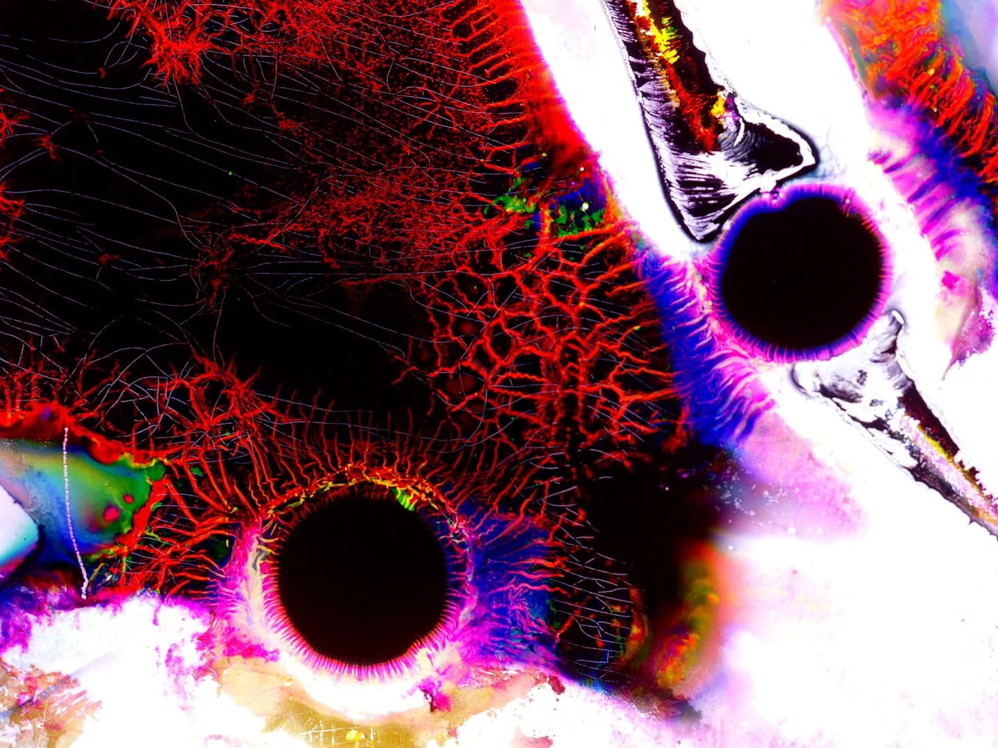 a landscape to be invented 