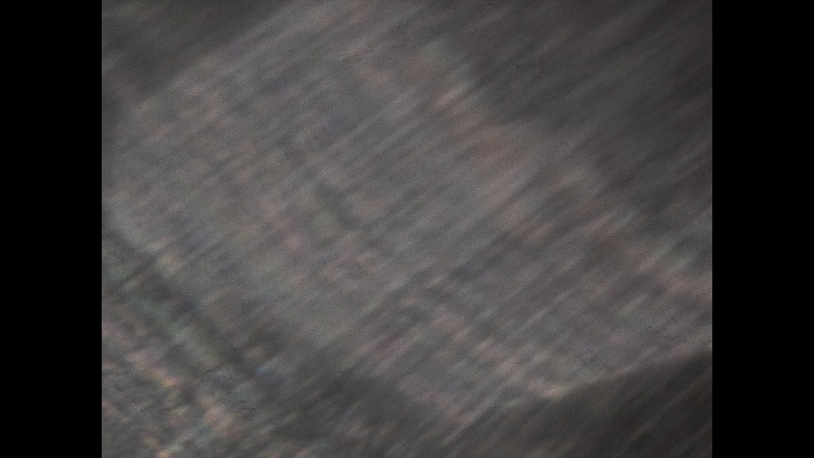 Where the heremit sings in the pine trees