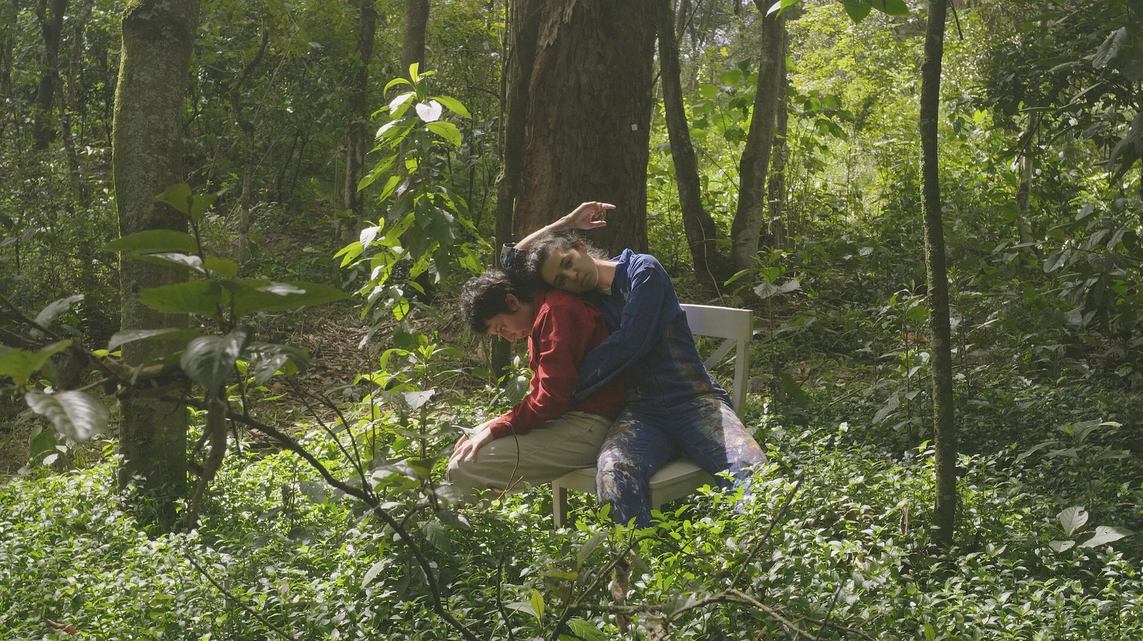 The House Left Empty