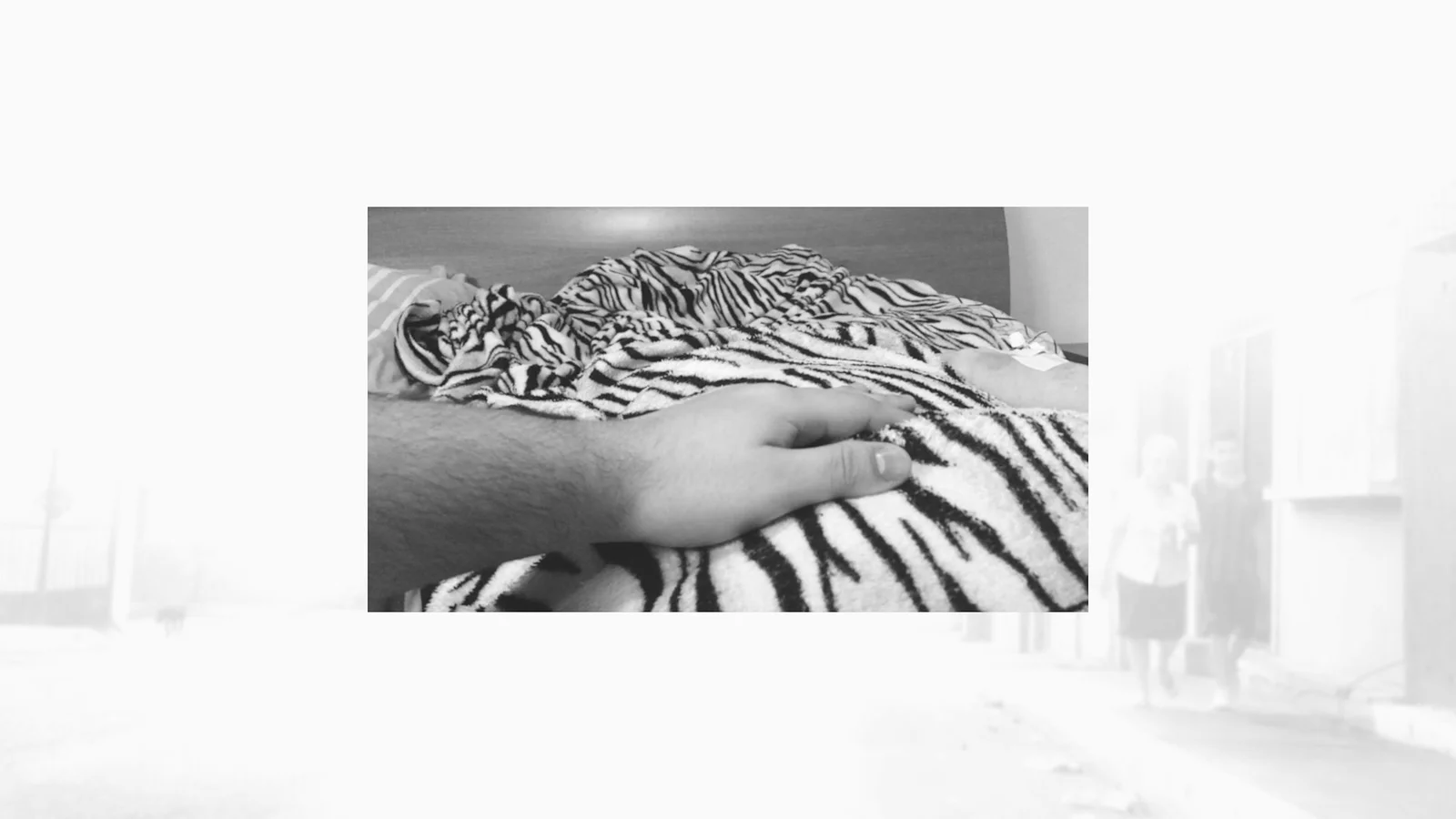 Aphorisms of the Lake