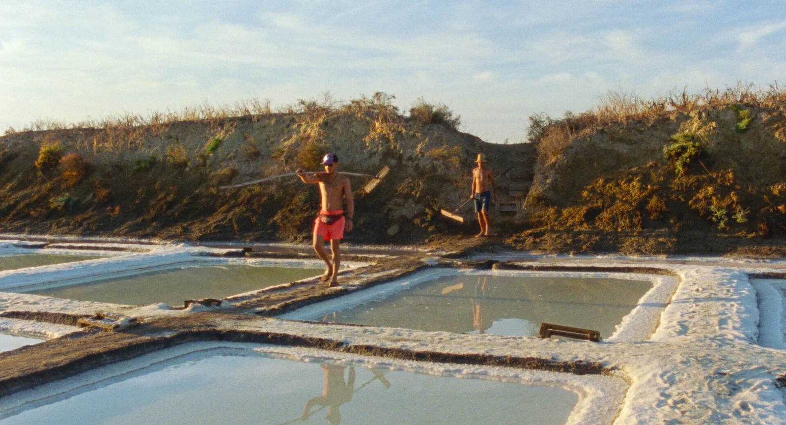 The Loneliness of Lizards