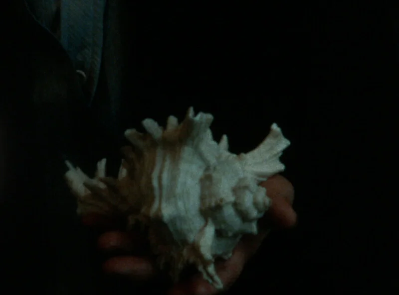 Does the Sea Have a Heart?