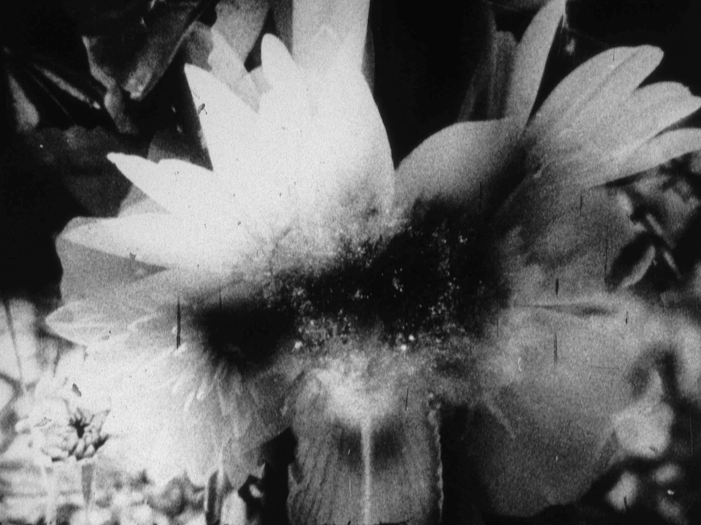 Press Pound to Connect