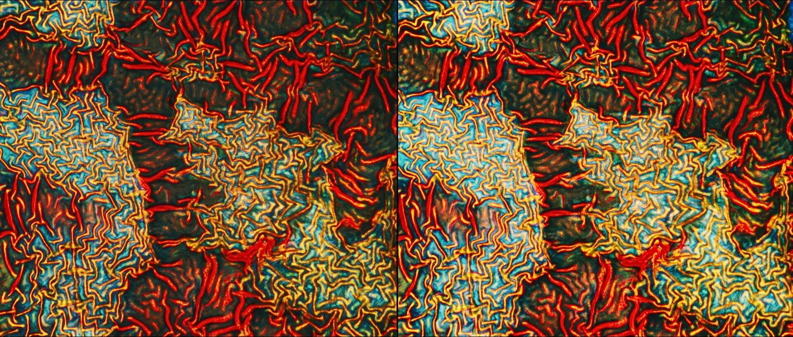 La dureté du mental (Mental toughness)