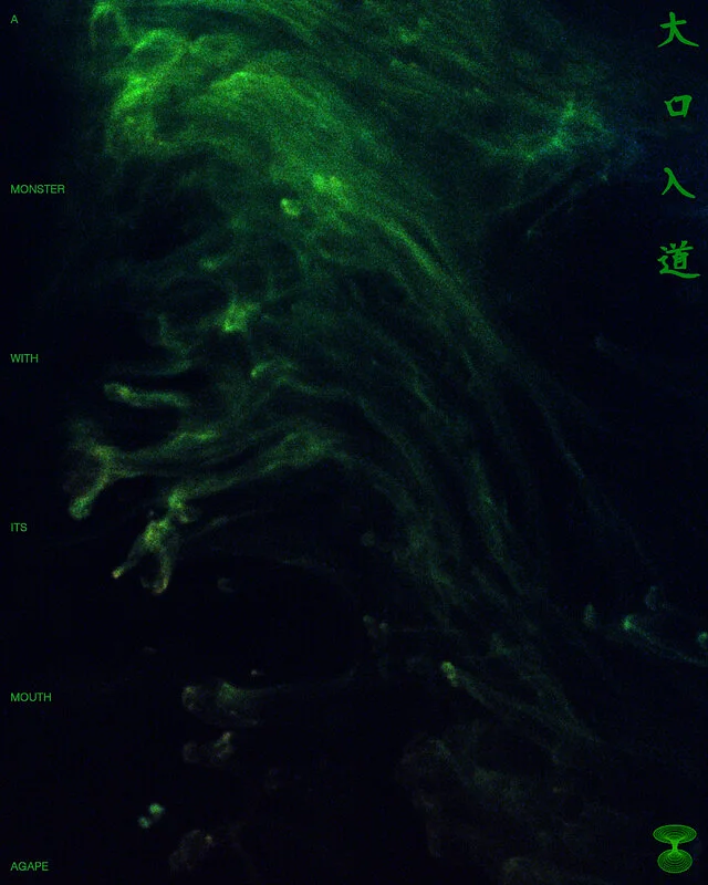 A Monster with Its Mouth Agape