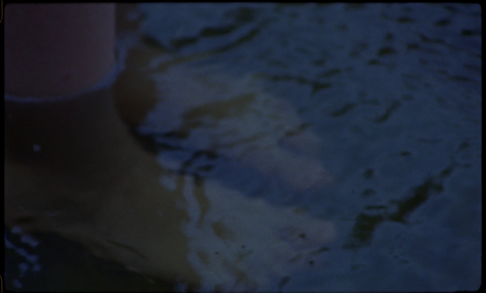 The Bearers of Memories 