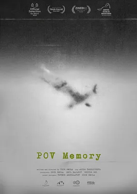 POV Memory