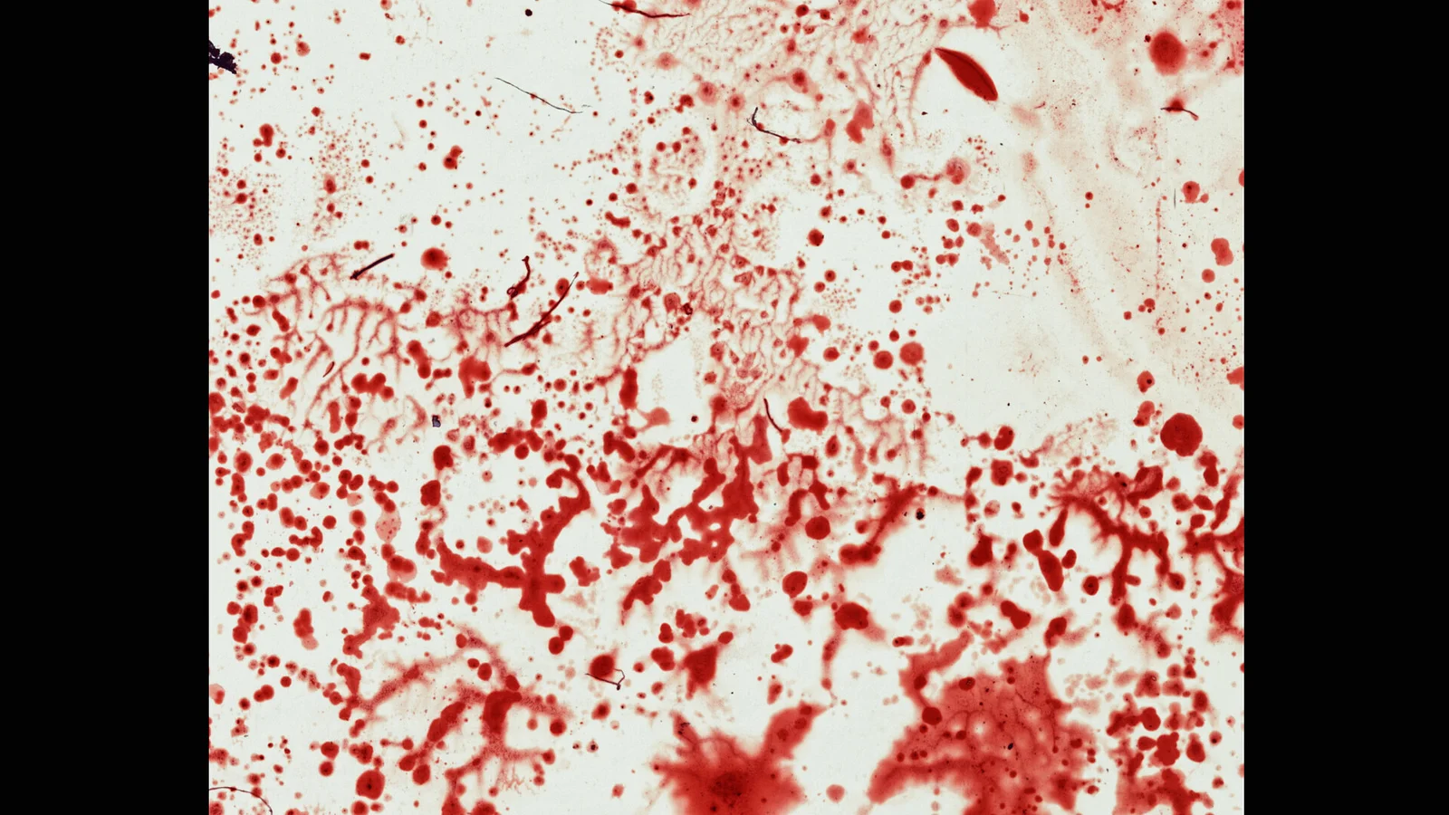 5-cent American Flag