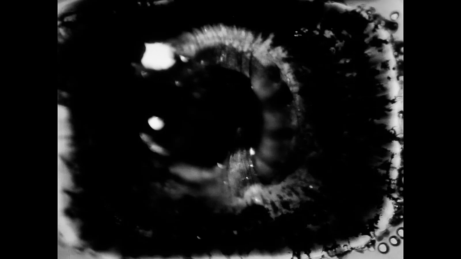 History of a dying eye