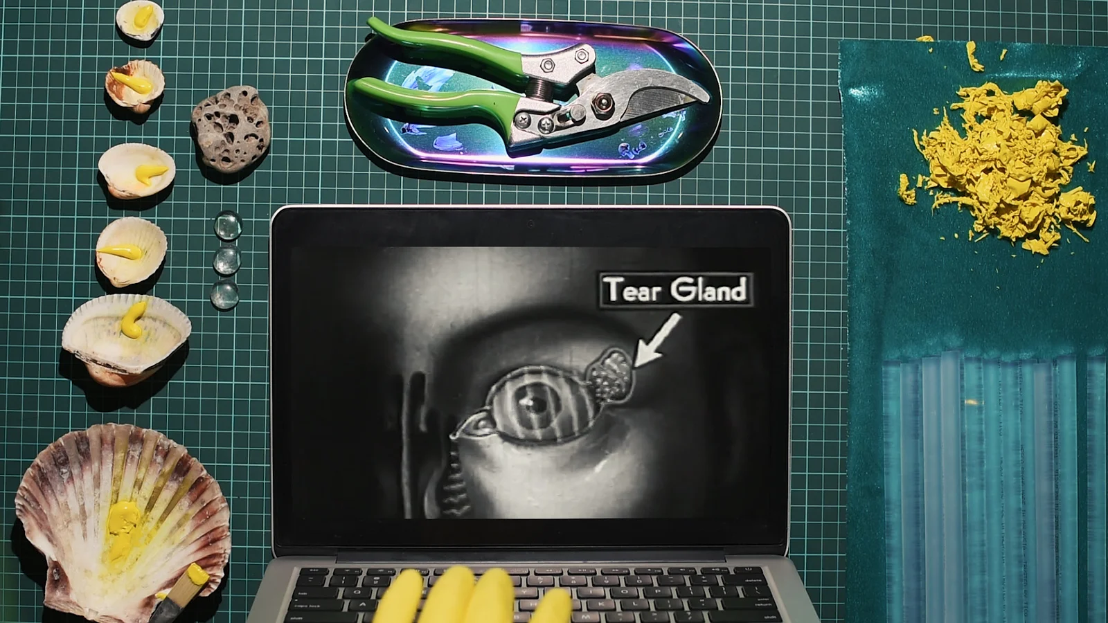 Choose Your Own Father