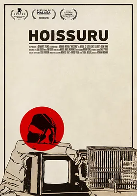 Hoissuru