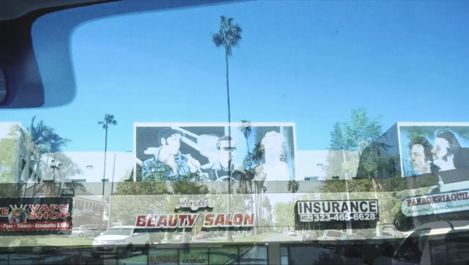 Same/Different/Both/Neither