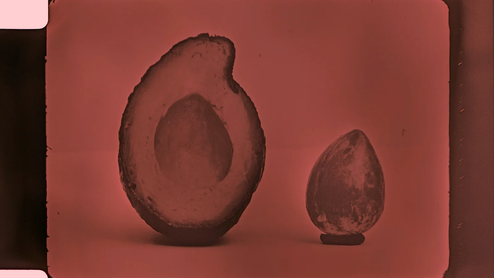 Anthology For Fruits and Vegetables