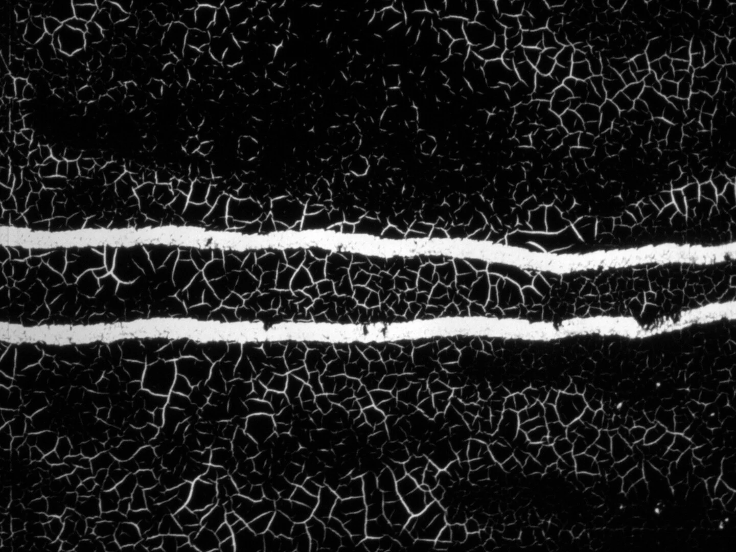 Licht & Ton (Light & Sound)