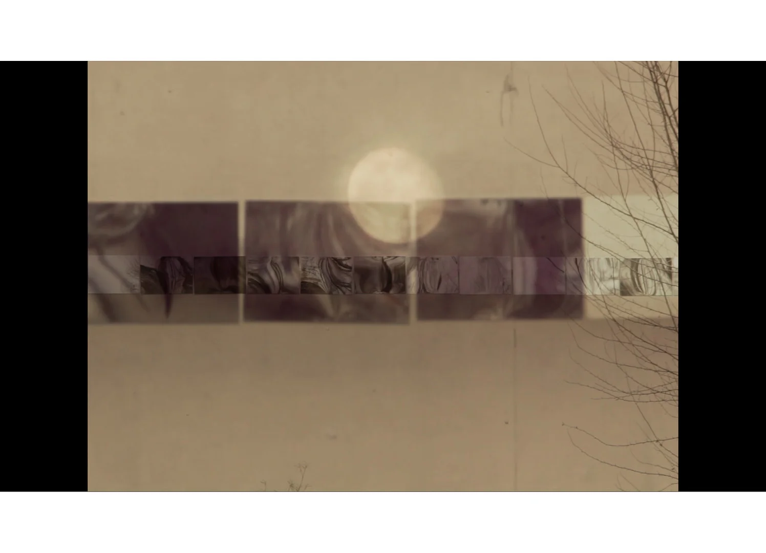 If the eye were an animal, its soul would be the sight