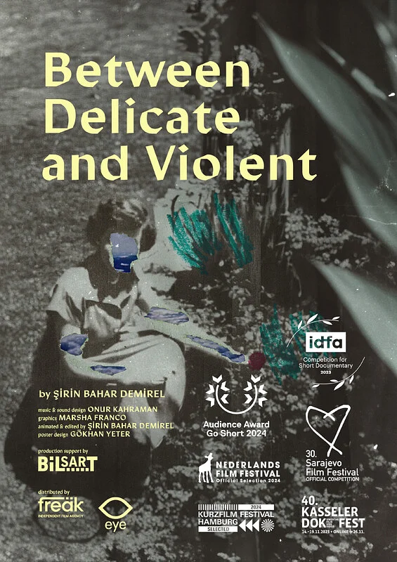 Between Delicate and Violent