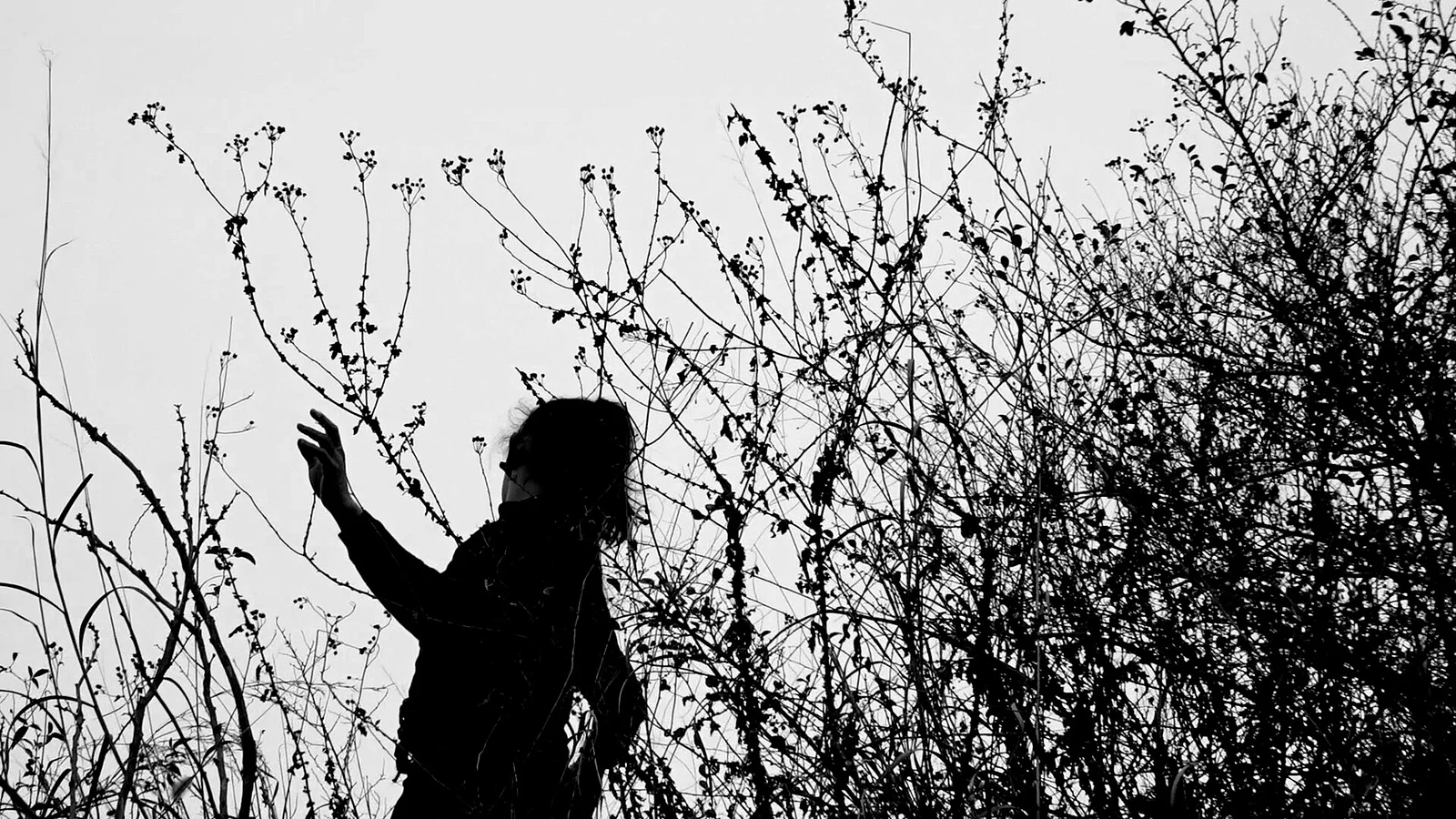 People Mountain People Sea