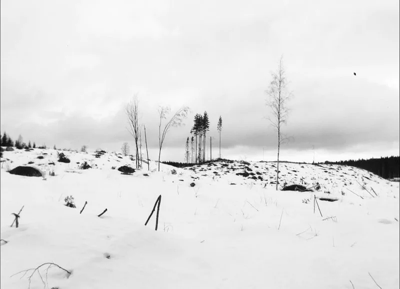 WINTERREISE'S VARIATIONS