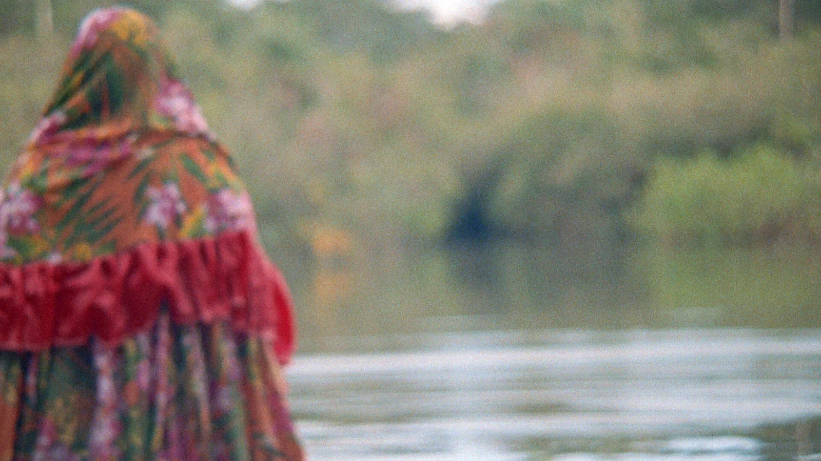 Metamorphosis' Chantings Or That Time When I Incarnated As Porpoise