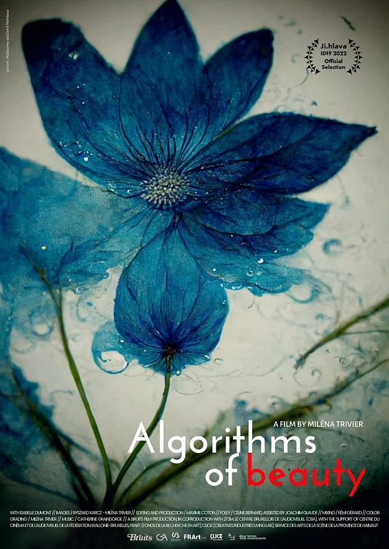 Algorithms of Beauty