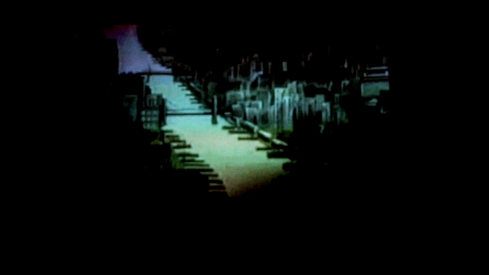 A Human Year is Seven Earth Years