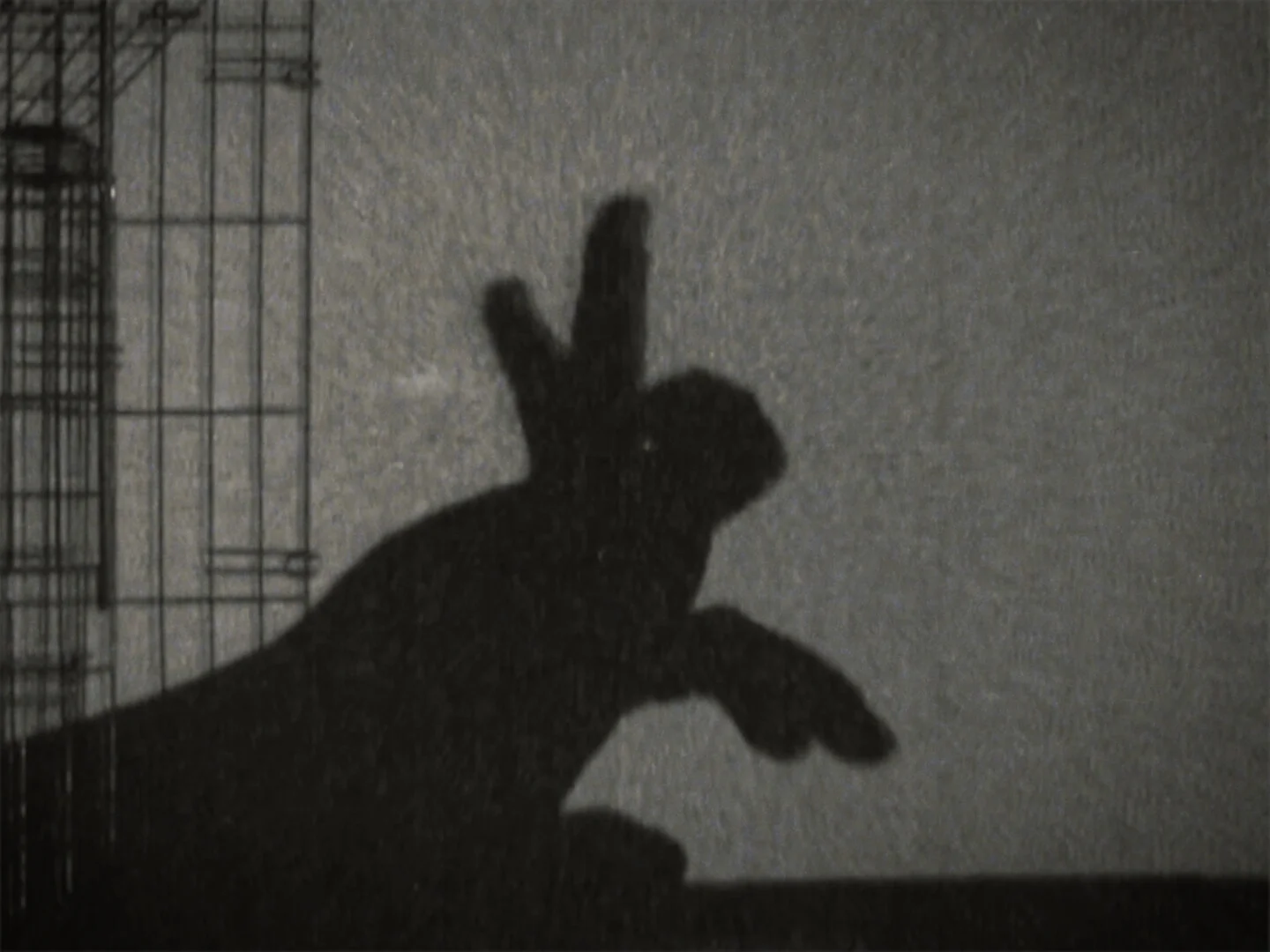 A Disordered Dictionary